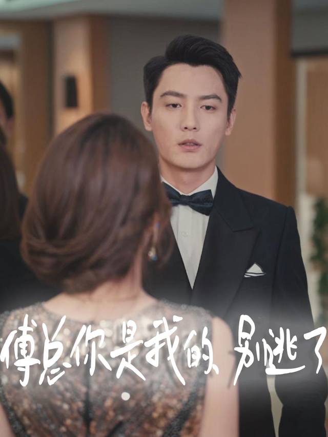 傅总你是我的，别逃了封面