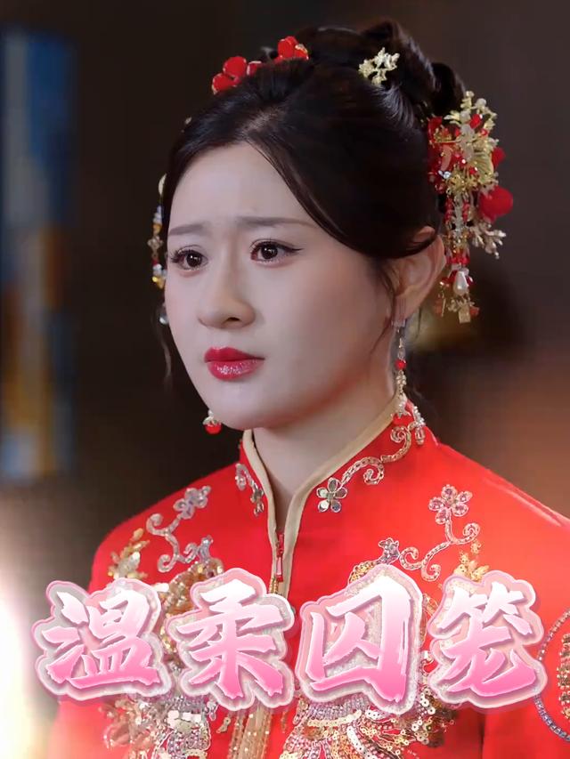 温柔囚笼封面