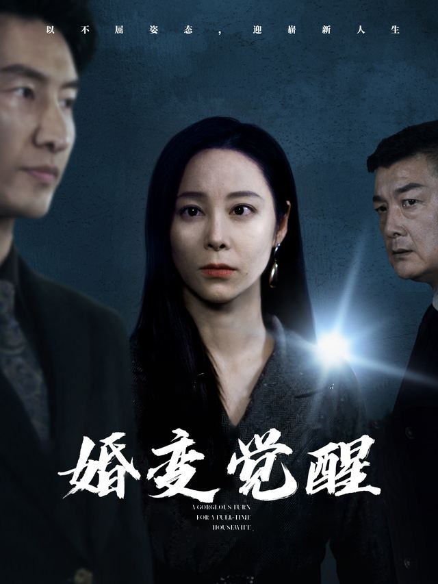 婚变觉醒封面