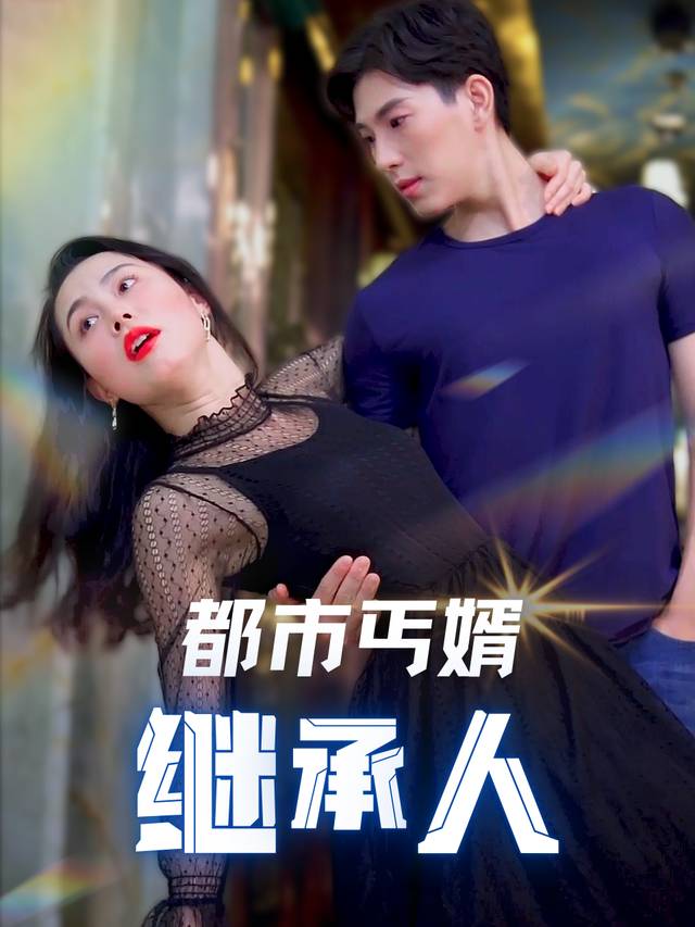 都市丐婿继承人封面