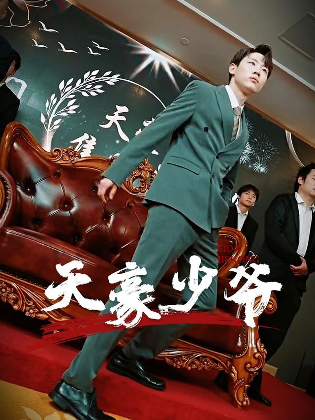天豪少爷封面
