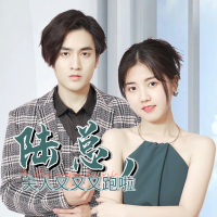 陆总,夫人又又又跑啦封面