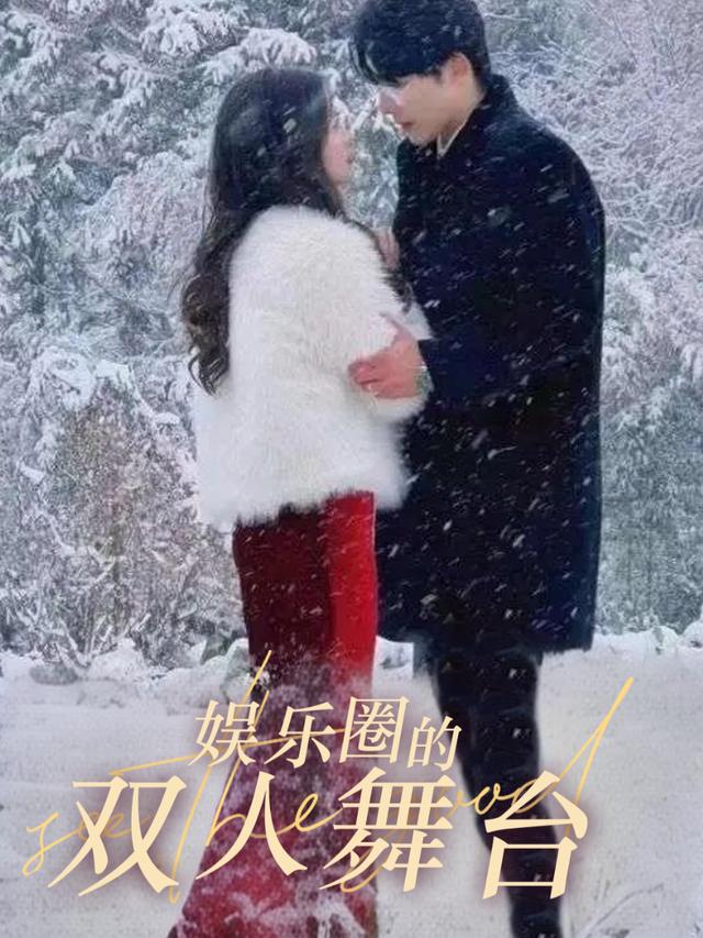 娱乐圈的双人舞台封面