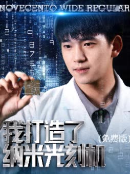 我打造了纳米光刻机()封面