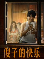 傻子的快乐封面