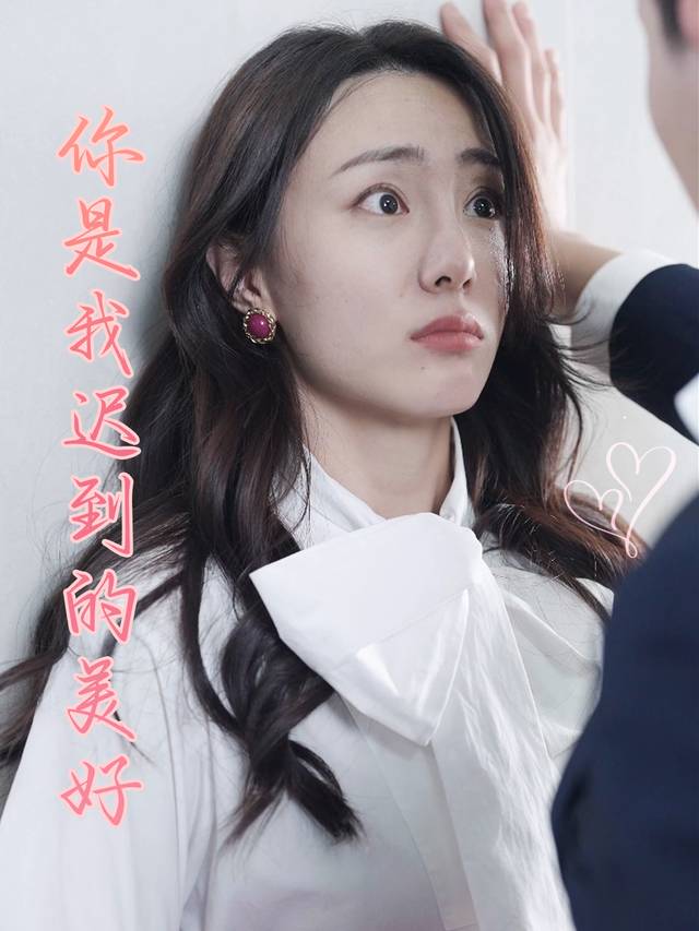 你是我迟到的美好封面