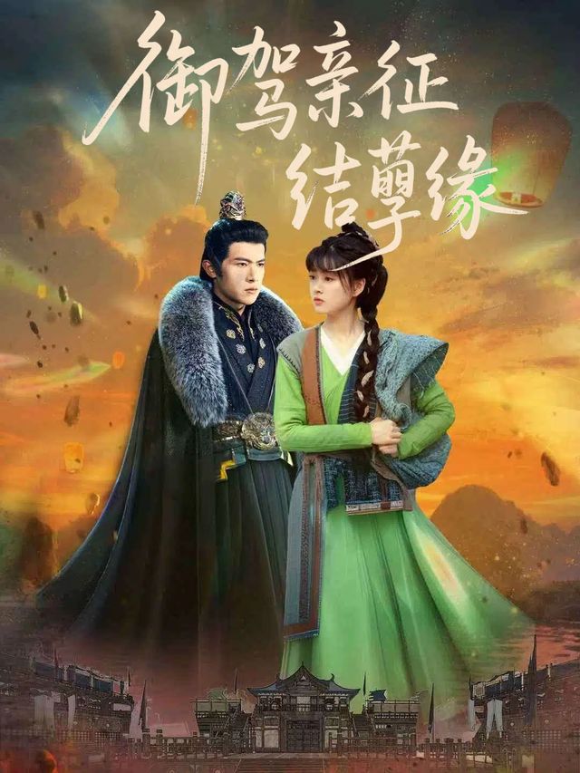 御驾亲征结孽缘封面