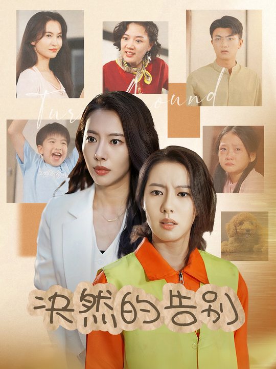 决然的告别封面