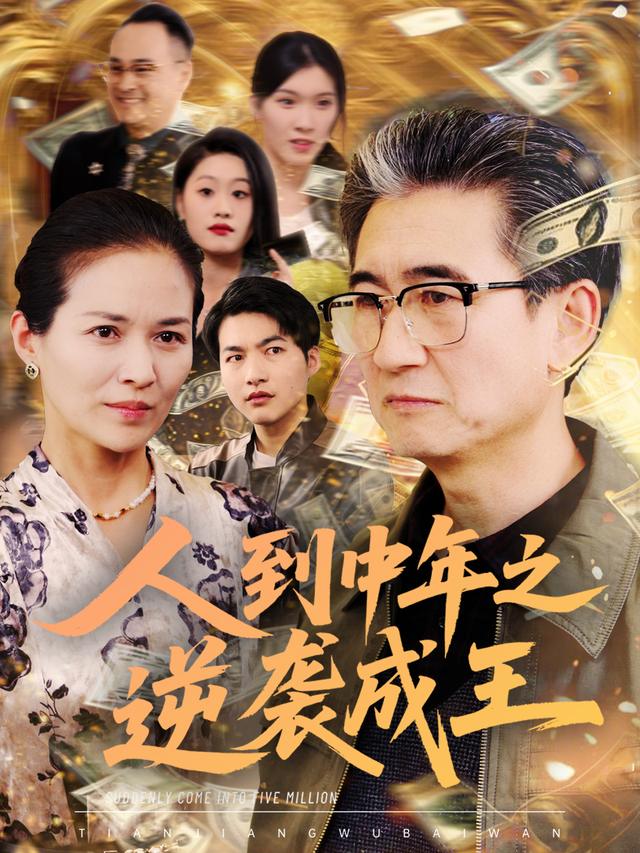 人到中年之逆袭成王封面