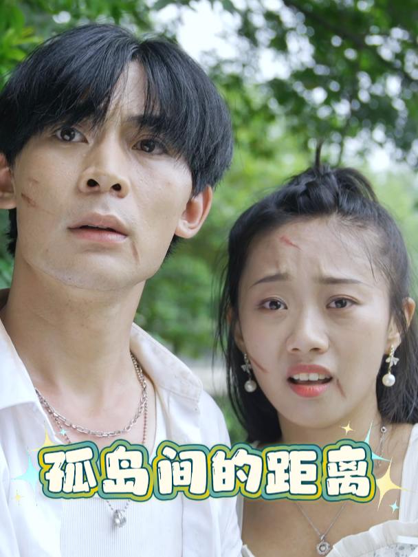 孤岛间的距离封面