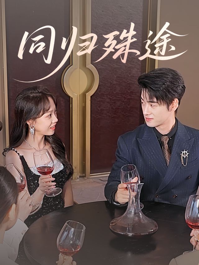 同归殊途封面