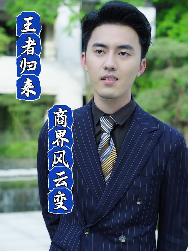王者归来:商界风云变封面