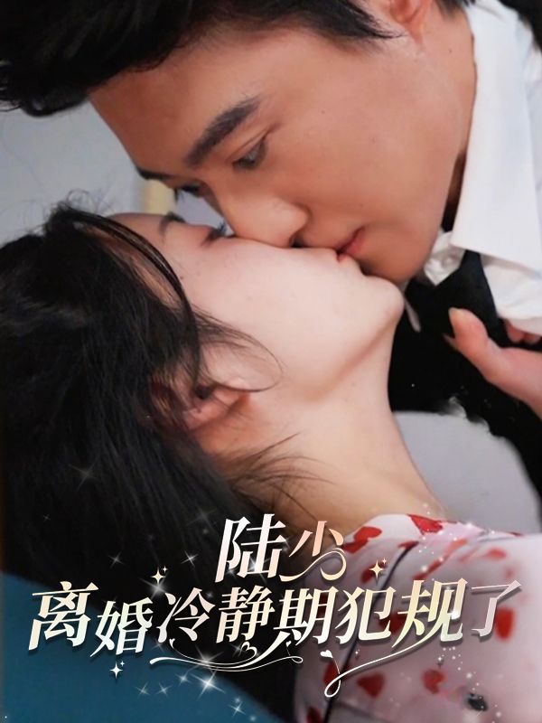 陆少,离婚冷静期犯规了!封面