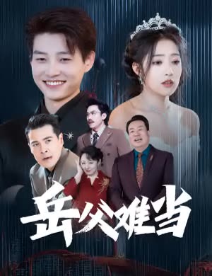 岳父难当封面