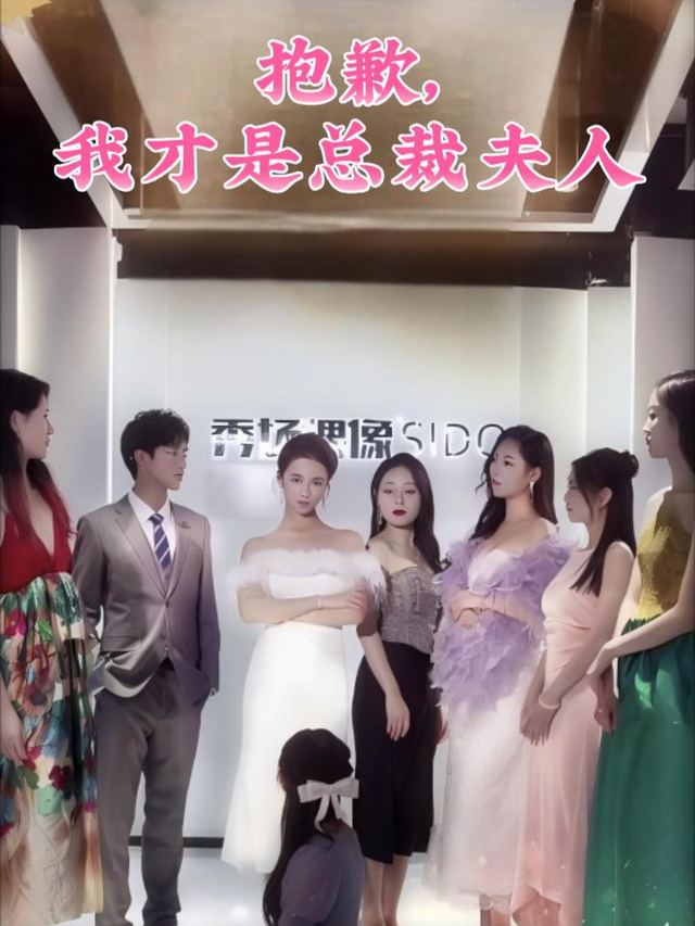 抱歉,我才是总裁夫人封面