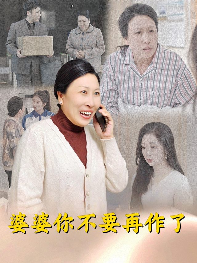 婆婆你不要再作了封面