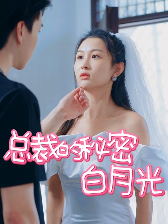 总裁的秘密白月光封面