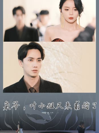 枭爷,叶小姐又来求婚了封面