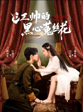 江帅的黑心菟丝花封面