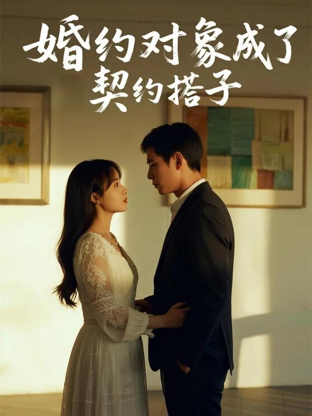 婚约对象成了契约搭子封面