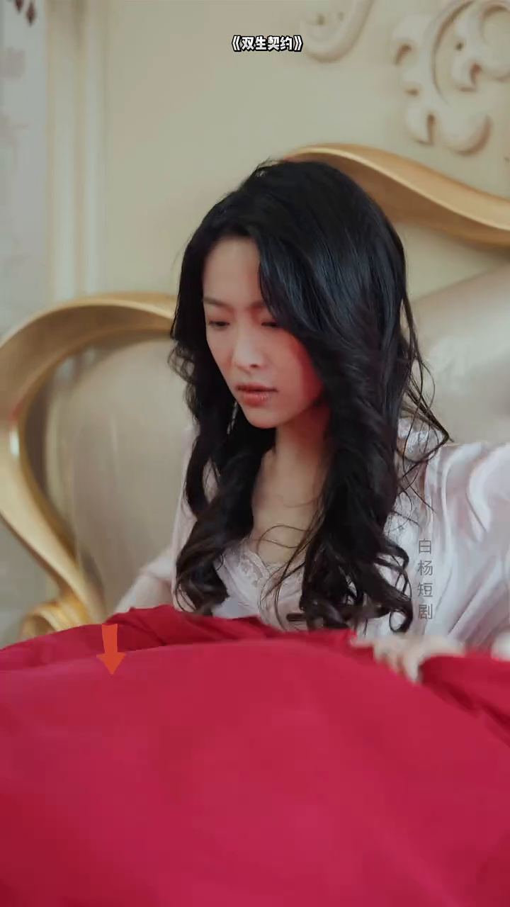 双生契约封面
