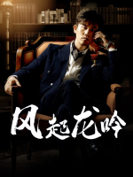 风起龙吟封面