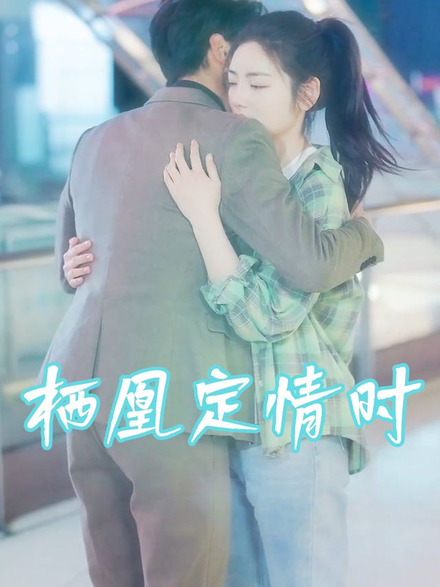 栖凰定情时封面