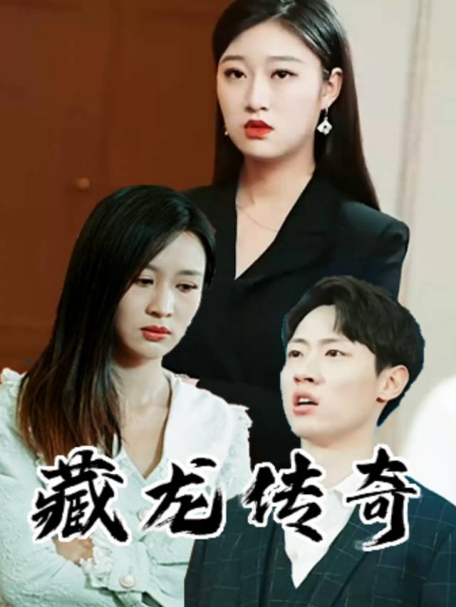 藏龙传奇封面