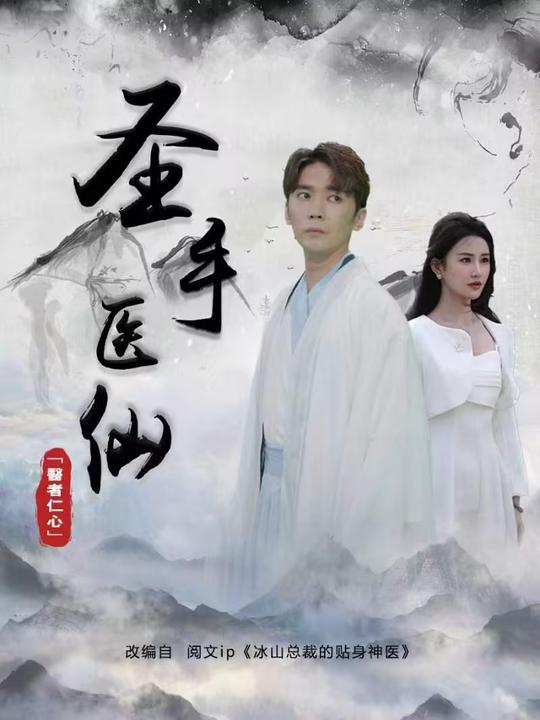 圣手医仙封面
