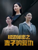 枕边秘密之妻子的复仇封面