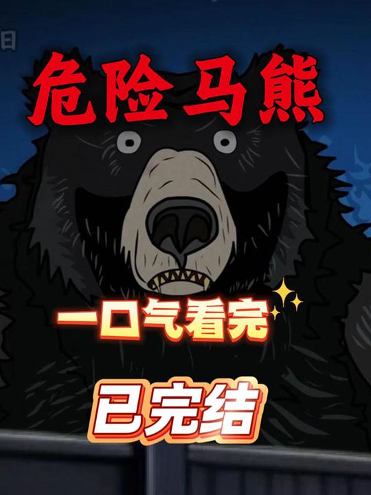 危险马熊封面