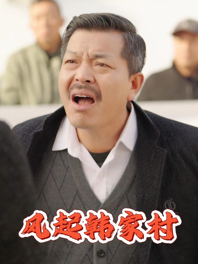 风起韩家村封面