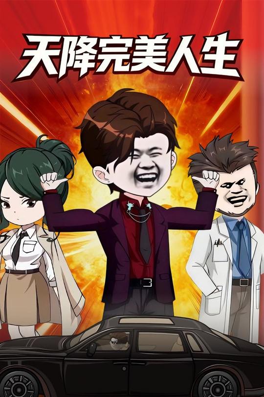 天降完美人生封面