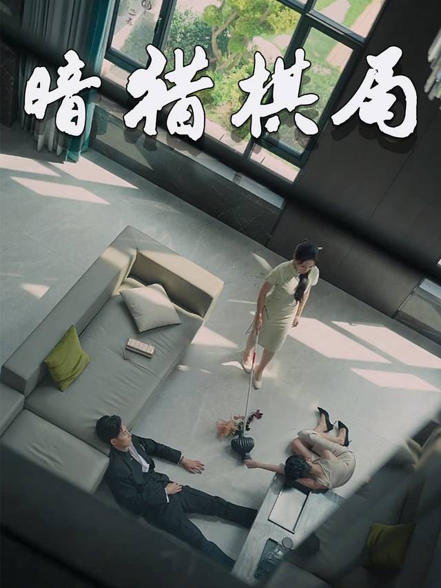 暗猎棋局封面