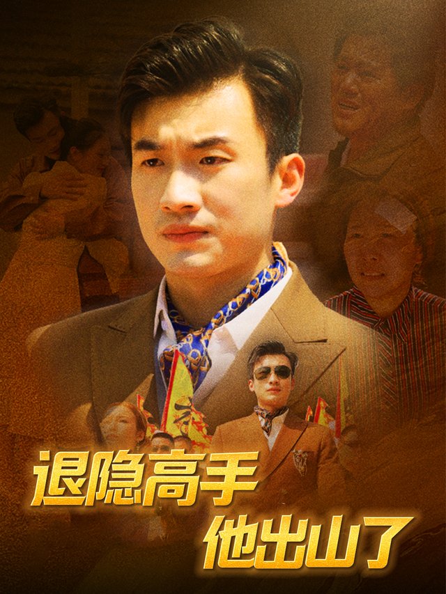 退隐高手他出山了封面
