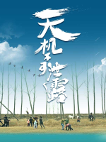 天机不可泄露封面