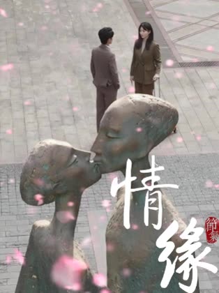 情缘封面