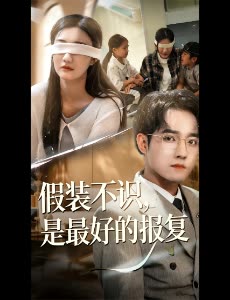 假装不识,是最好的报复封面