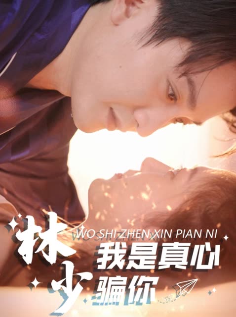 林少我是真心骗你封面