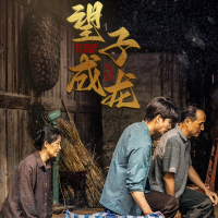 望子成龙之衣锦还乡封面