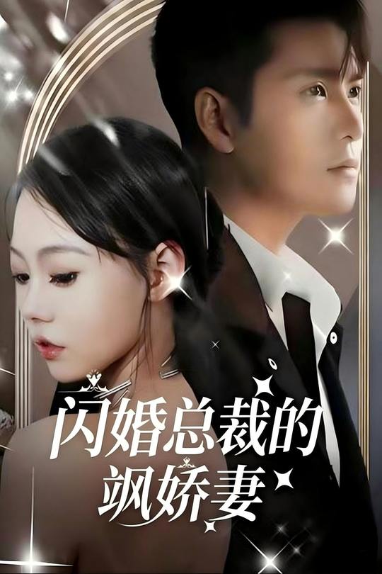 闪婚总裁的飒娇妻封面