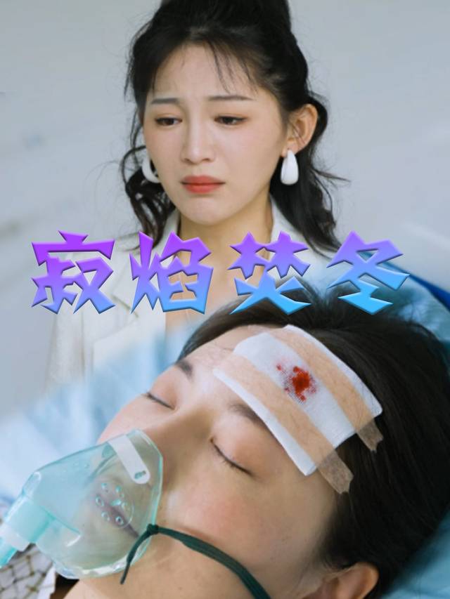 寂焰焚冬封面