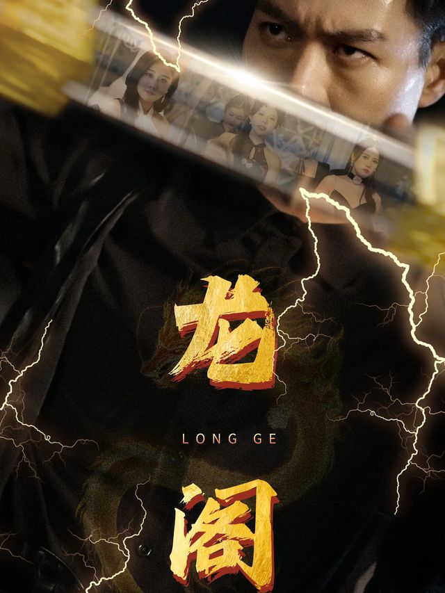 龙阁风云封面