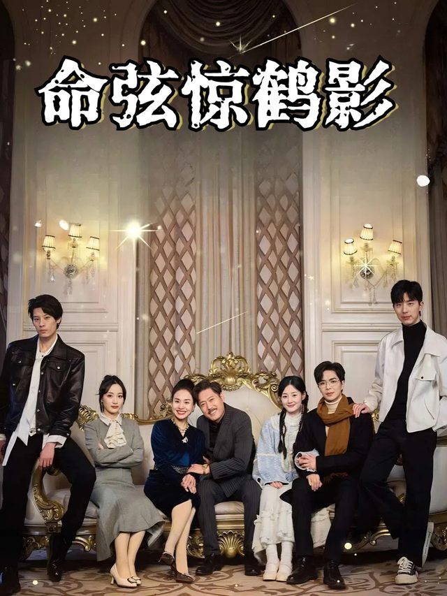 命弦惊鹤影封面