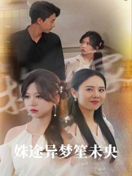 姝途异梦笙未央封面