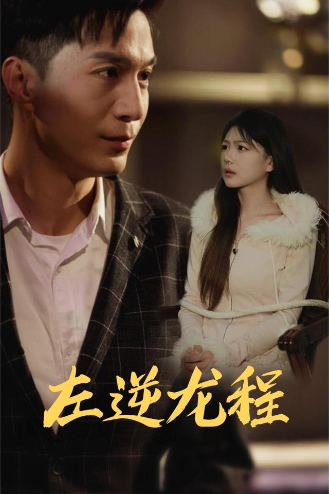 左逆龙程封面
