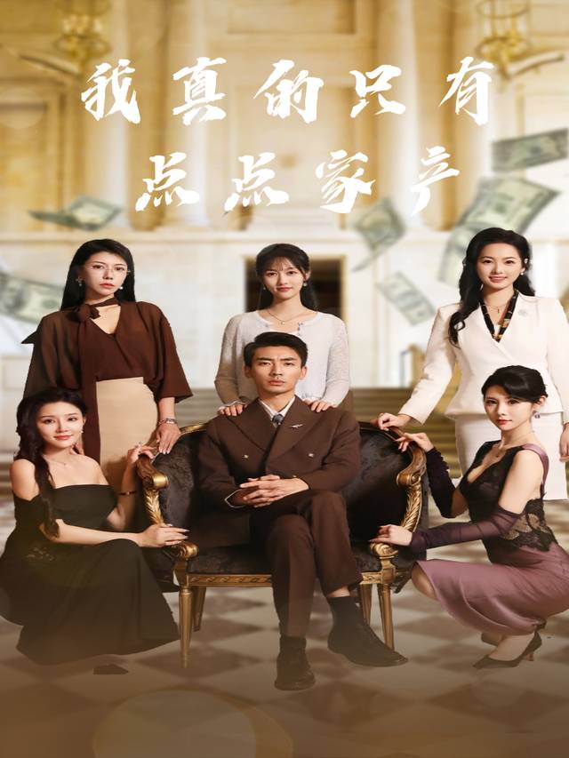 我真的只有亿点点家产封面