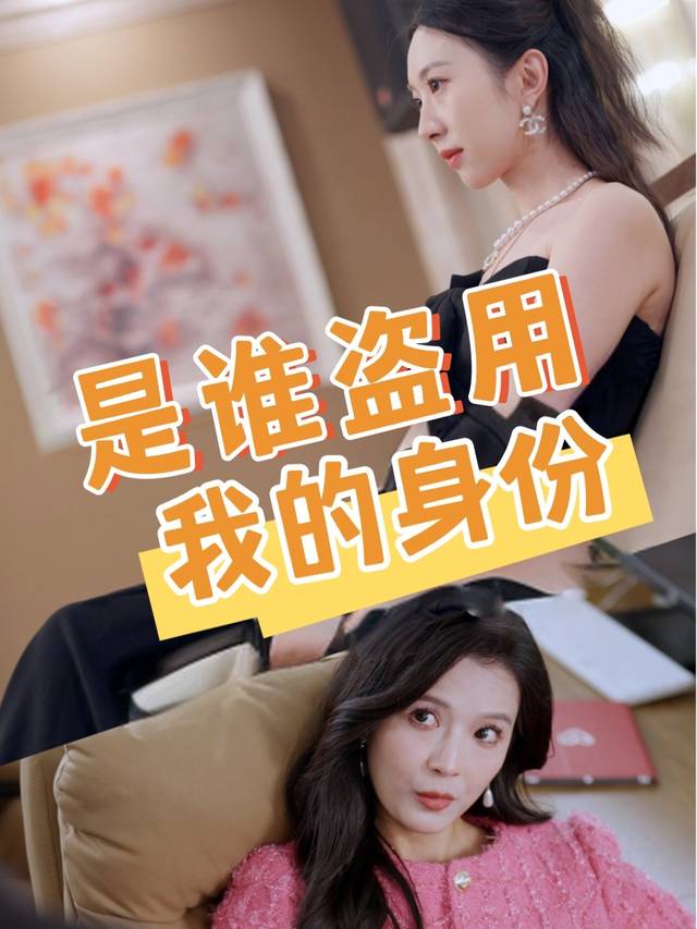 是谁盗用我的身份封面