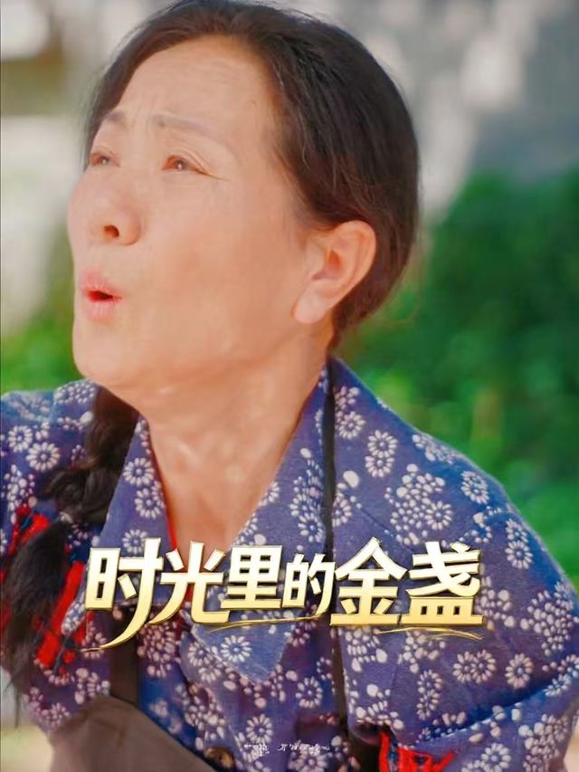时光里的金盏封面