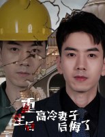 重生后高冷妻子后悔了封面